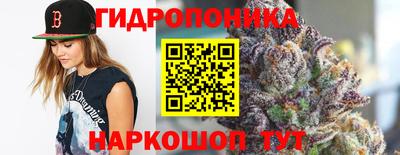 бошки Гагарин