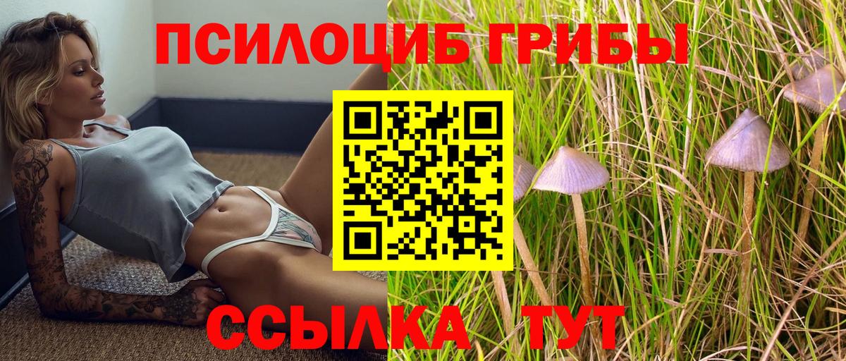 цены   Псилоцибиновые грибы мухоморы  Вход с VPN  Нефтекумск 