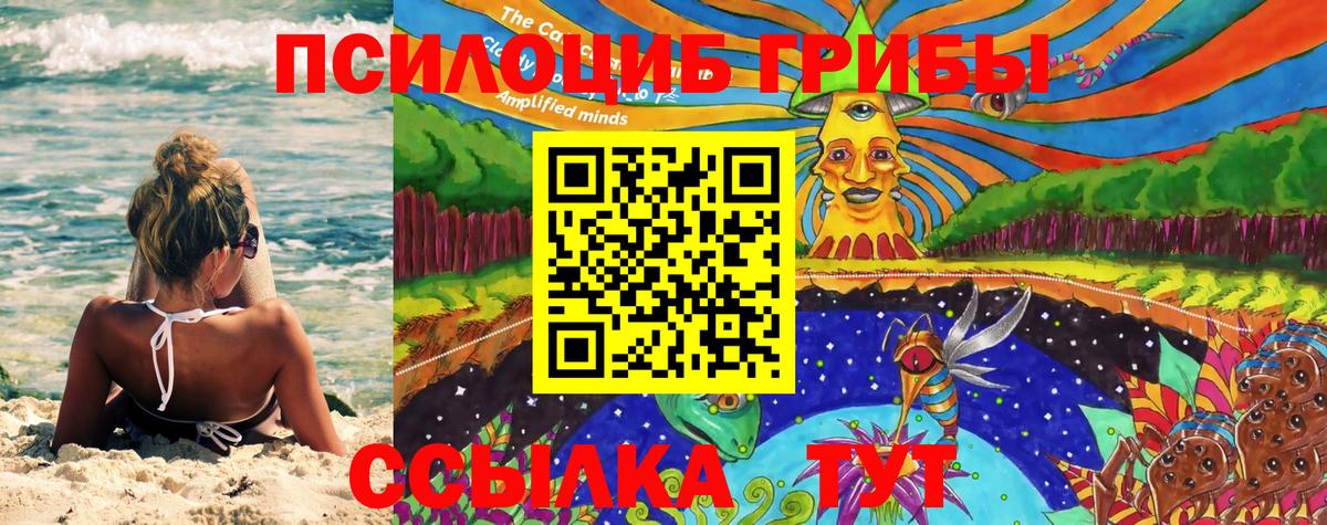 Галлюциногенные грибы Cubensis Нефтекумск